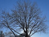 IMG 4591
